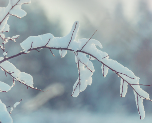 Kerhojen kevätkausi on alkanut
