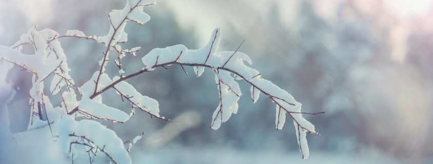 Kerhojen kevätkausi on alkanut